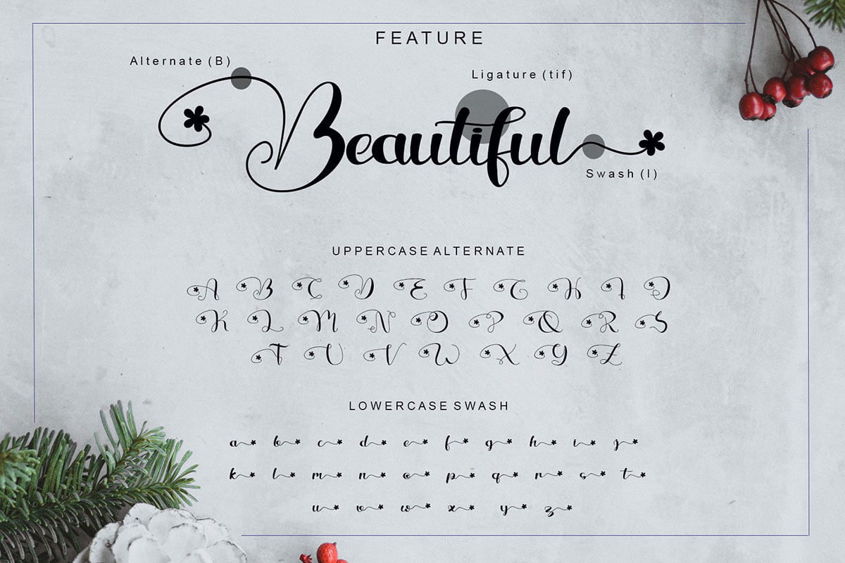 Beautiful Variella Calligraphy Font - Free Download