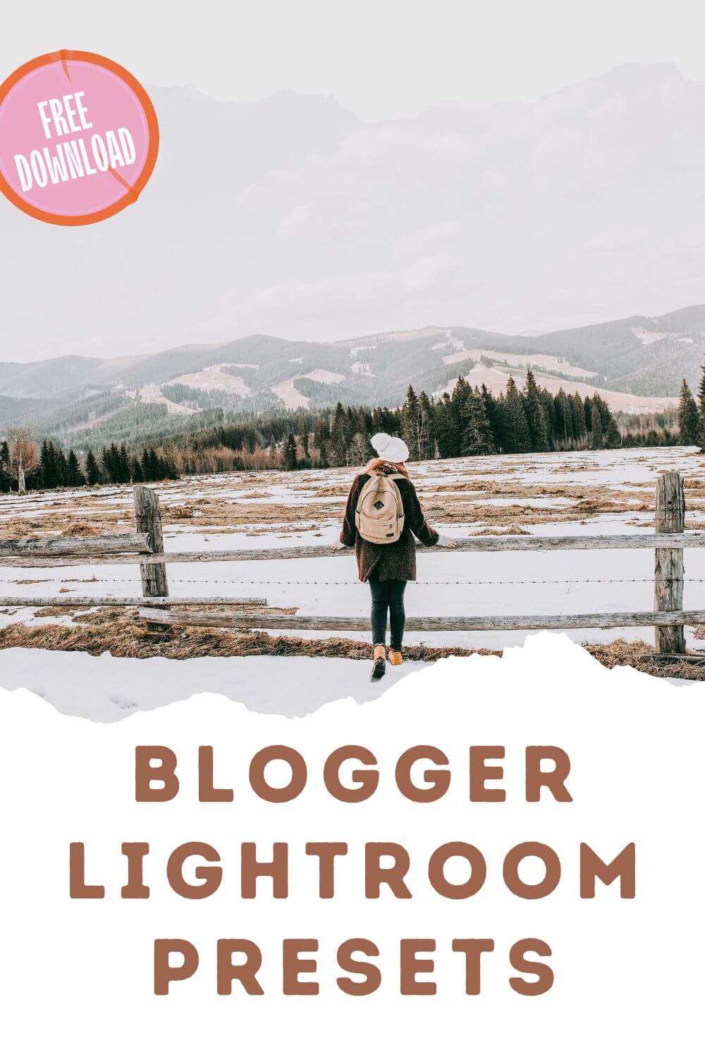 Blogger Lightroom Presets Pinterest