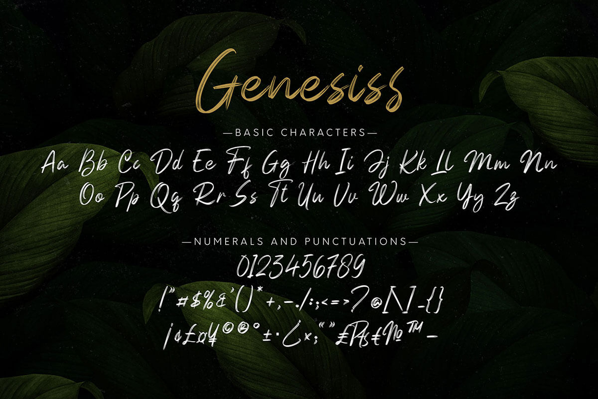 Genesiss Handbrush Font