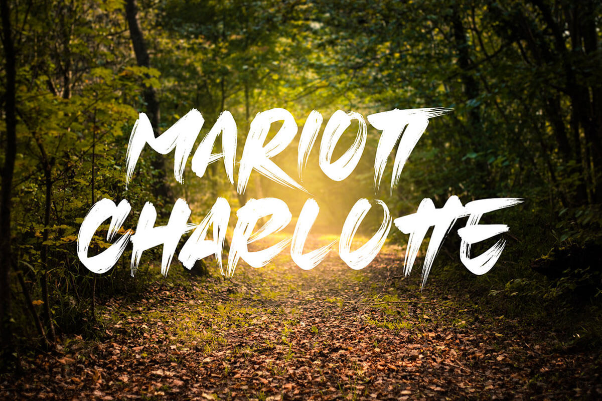 Mariott Handbrush Font - Free Download