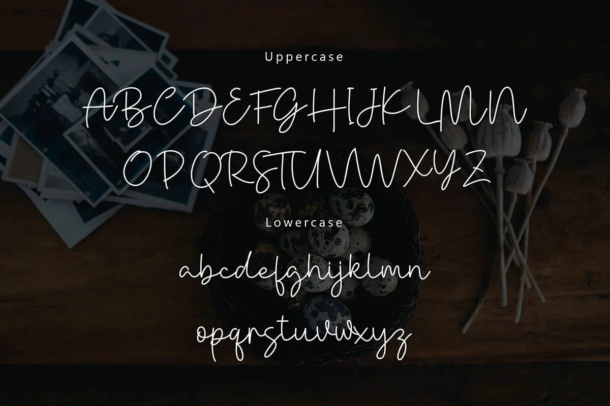 Danielle Signature Handwritten Font