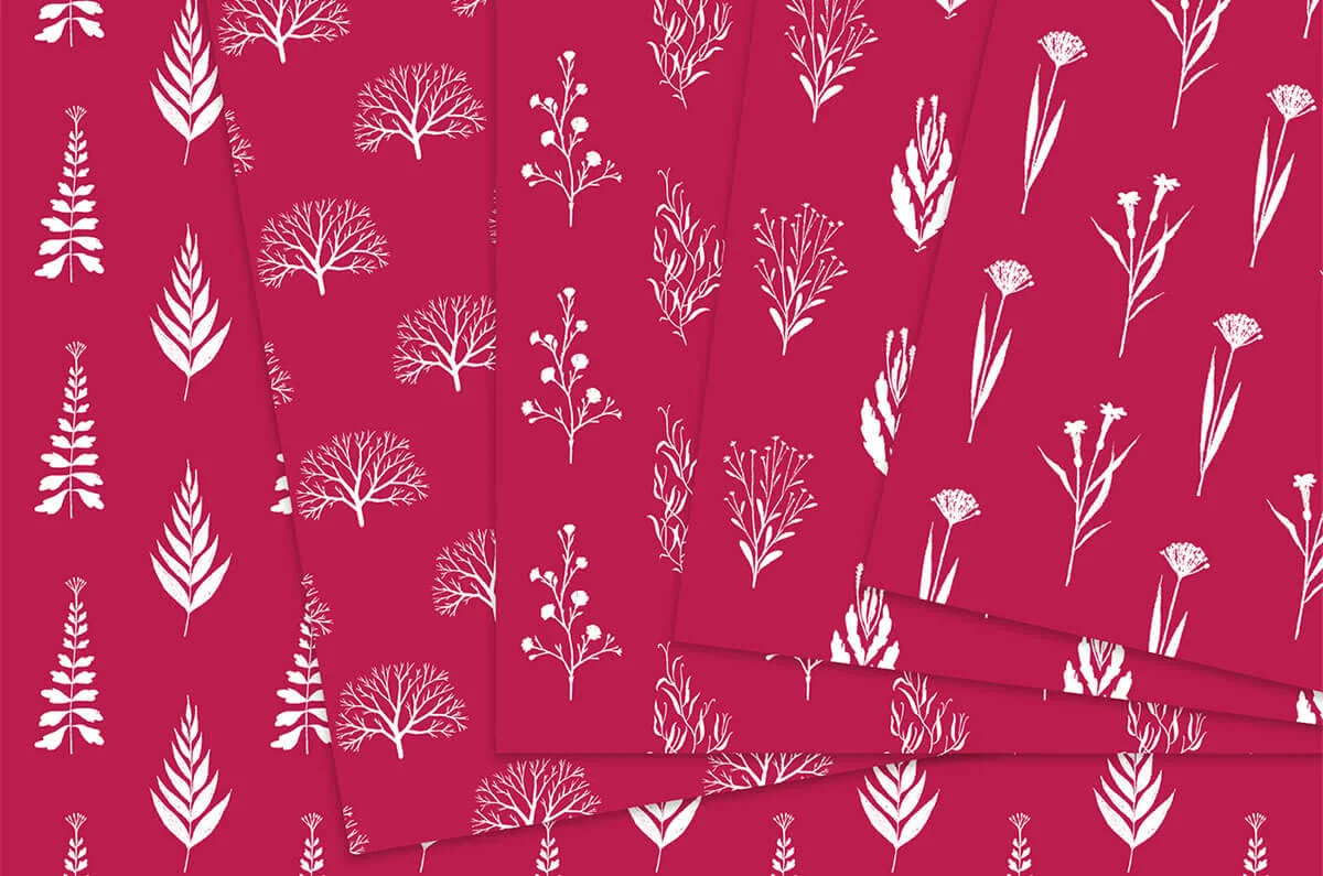 Rose Red and White Natural Digital Papers