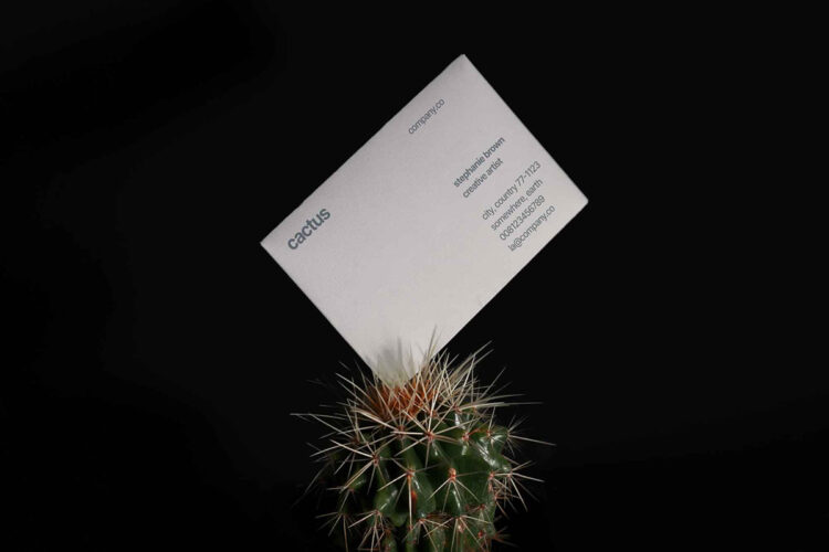 Cactus Business Card Mockup Feature Image