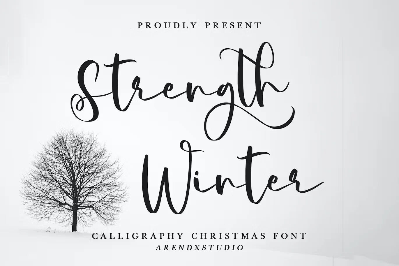 Strength Winter - Calligraphy Christmas Font