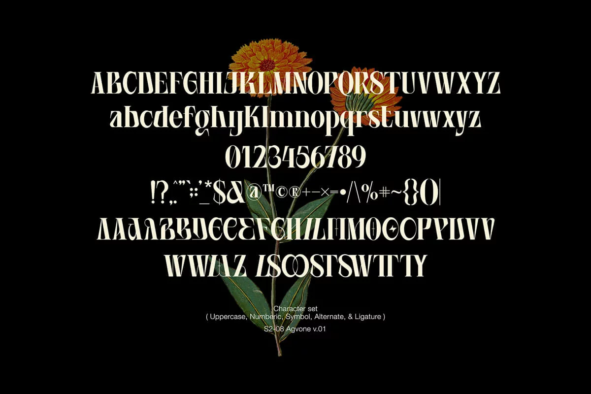 Agvone Display Font Preview 1