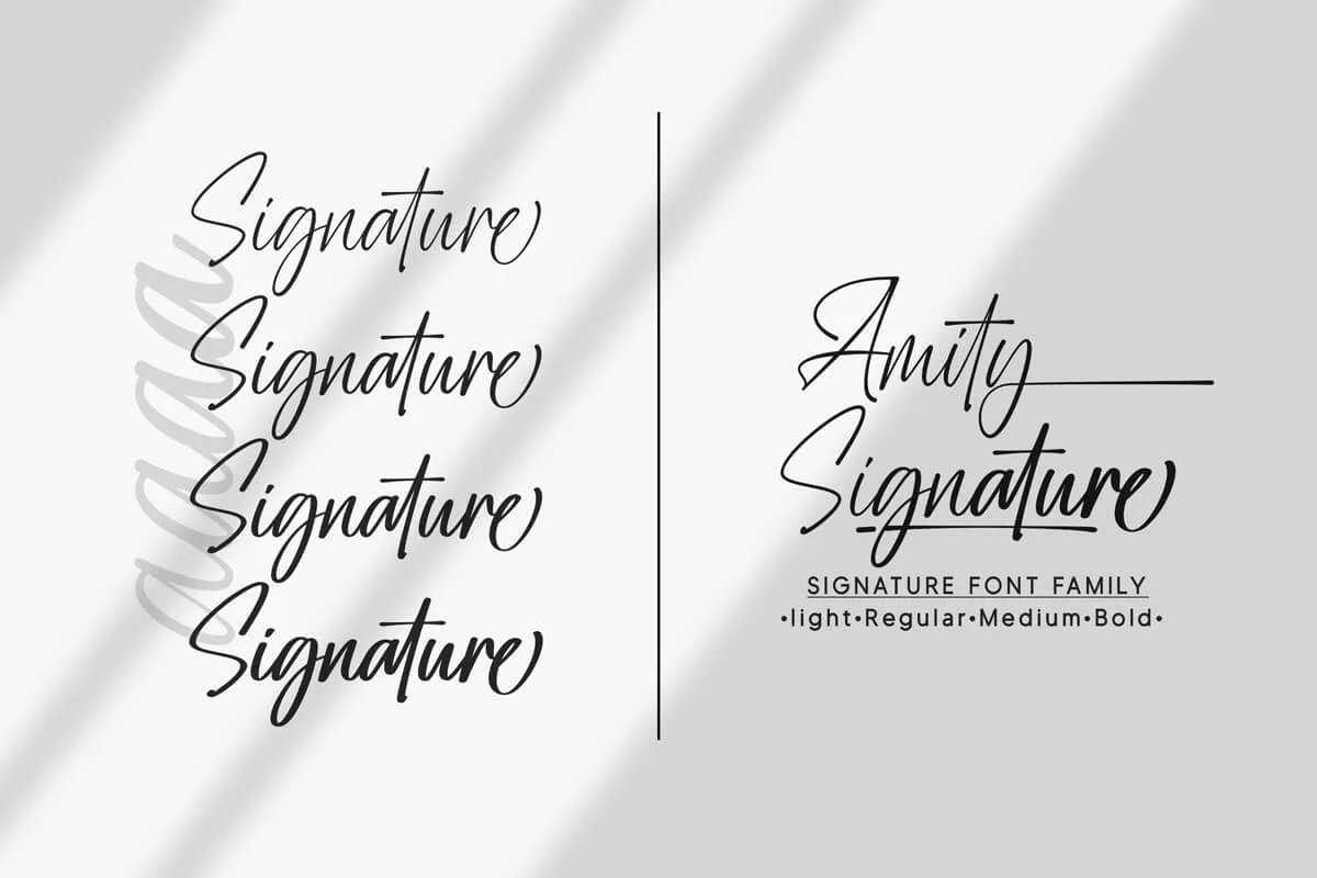Amity Signature Font Preview 1