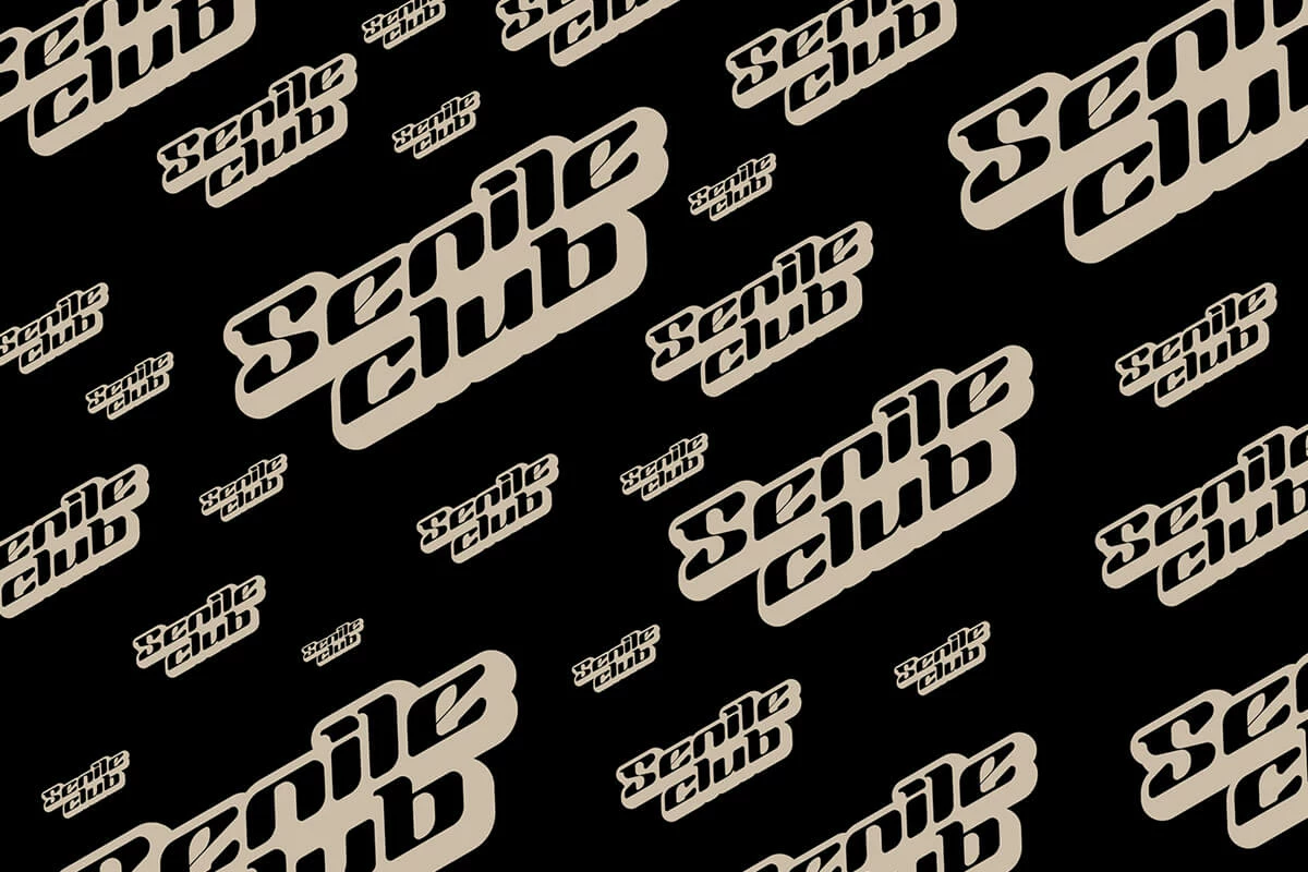 Bicrode Display Font Preview 5