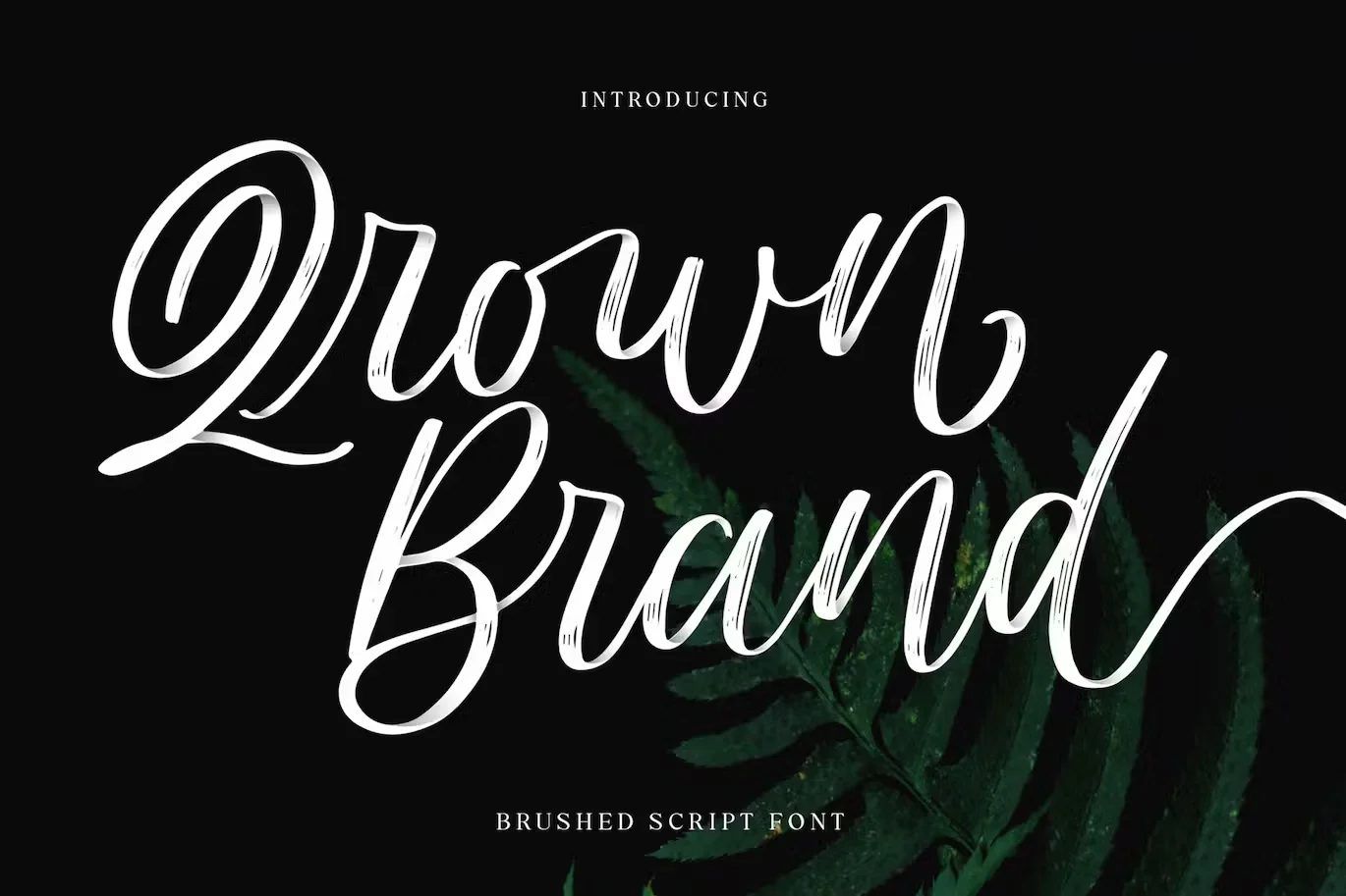 Qrown Brand Streetwear Font