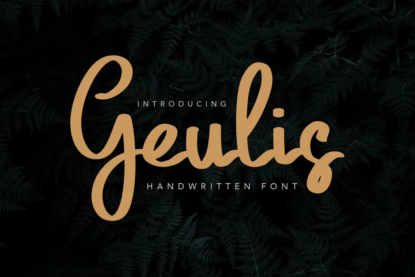 Geulis Stylish Font