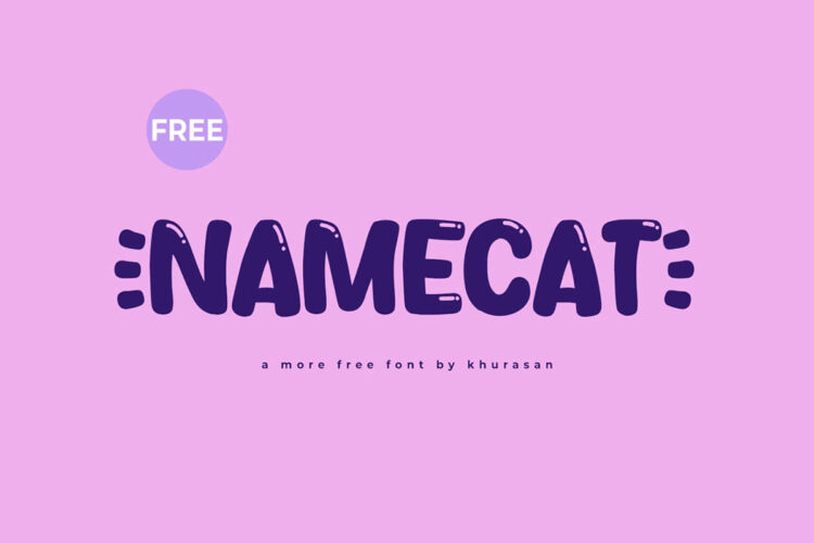Namecat Display Font Feature Image