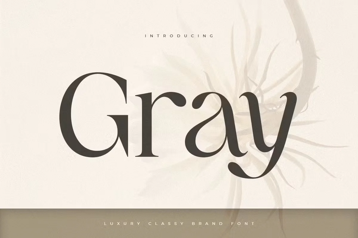Gray - Luxury Classy Brand Font