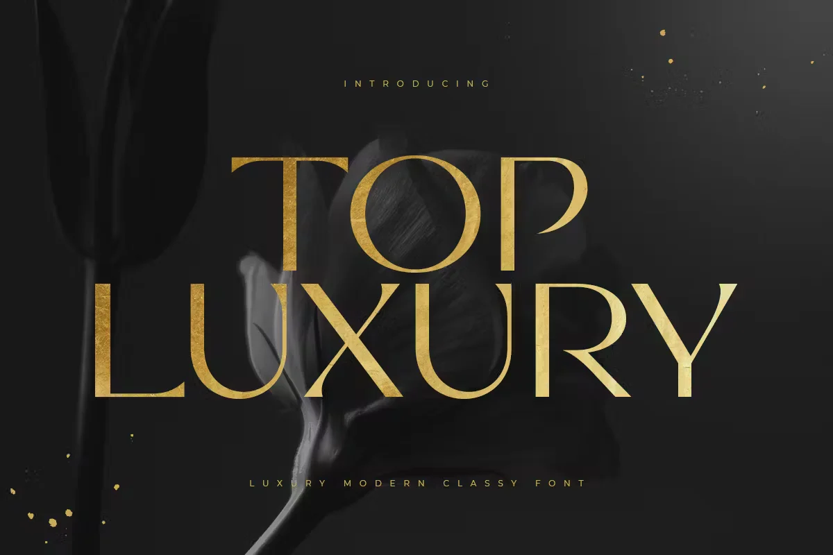 Top Luxury - Luxury Modern Classy Font