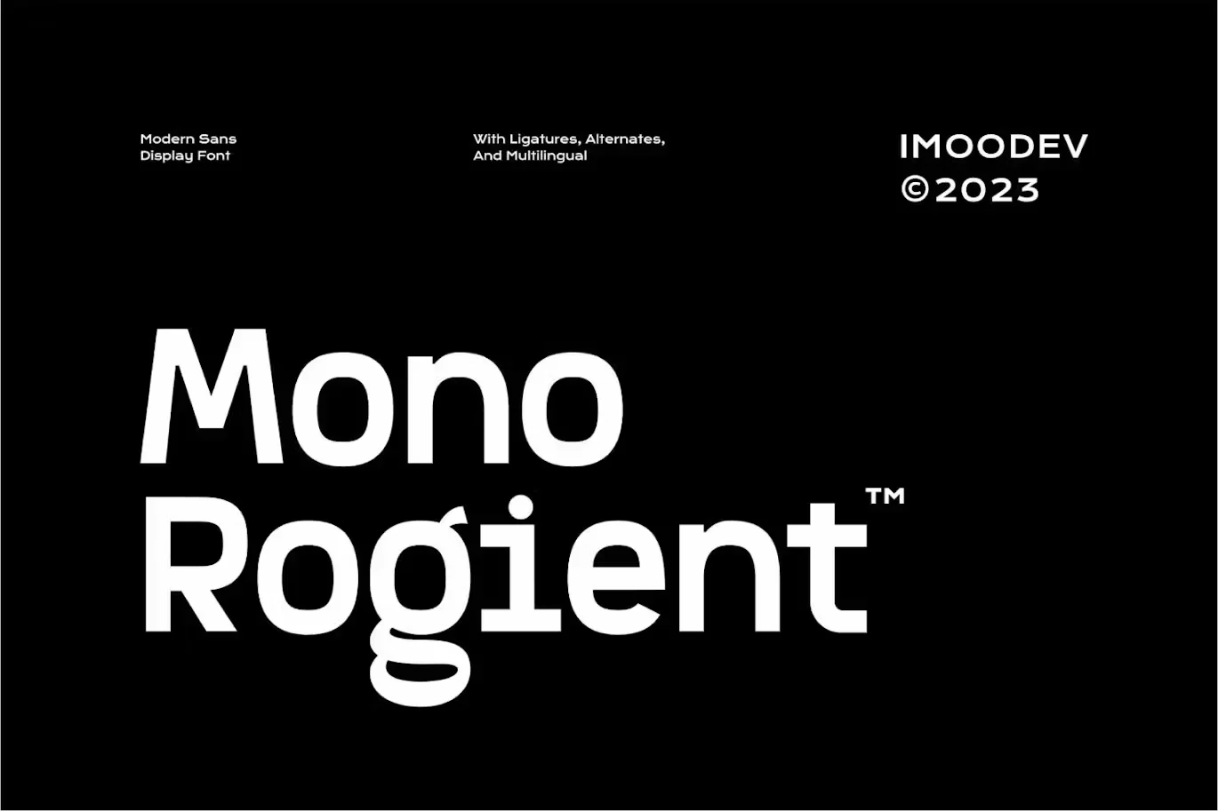 Mono Rogient - Modern Sans Display Font