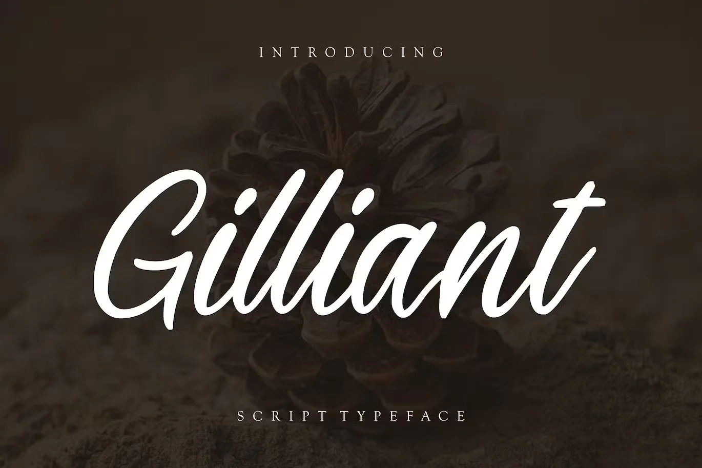 Gilliant Script Business Font