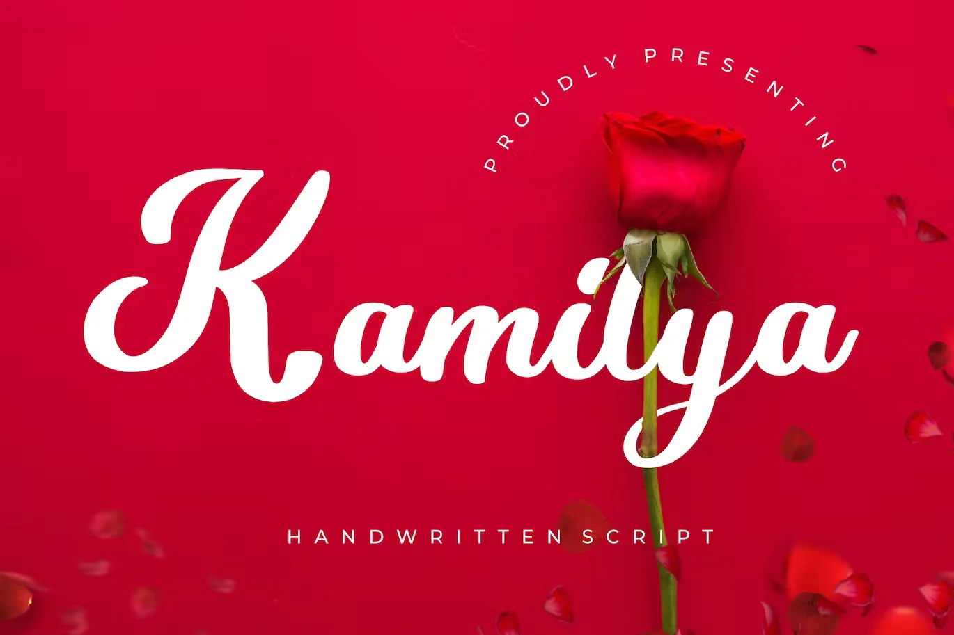 Kamilya Business Font