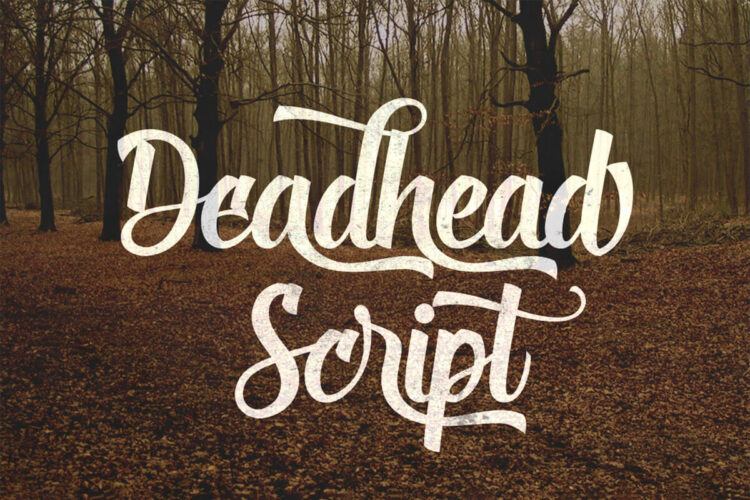 Deadhead Script Font Feature Image