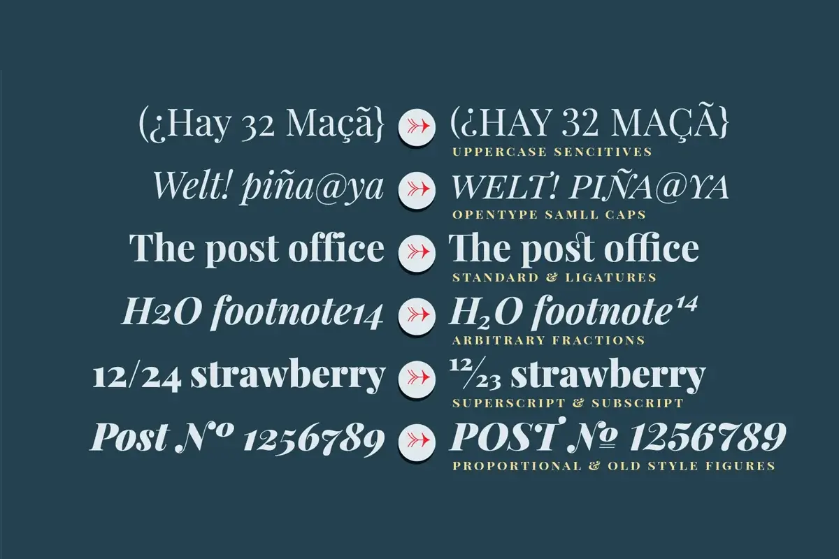 Playfair Display Font Family Preview 1