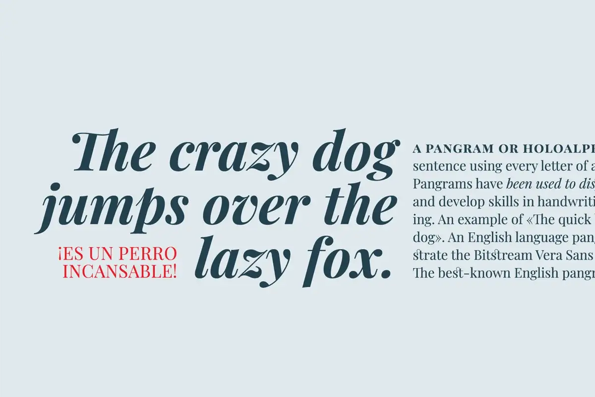 Playfair Display Font Family Preview 4