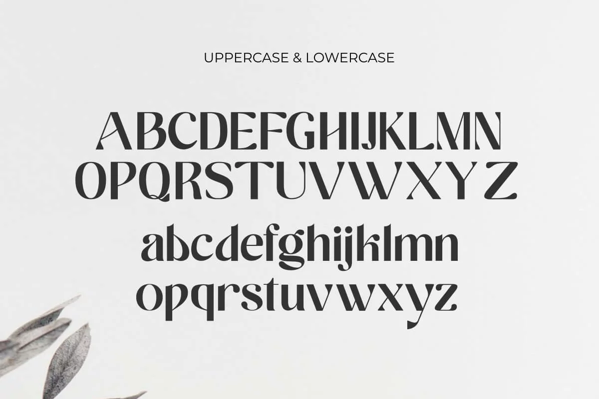 Ragitha Sans Serif Font Preview 4
