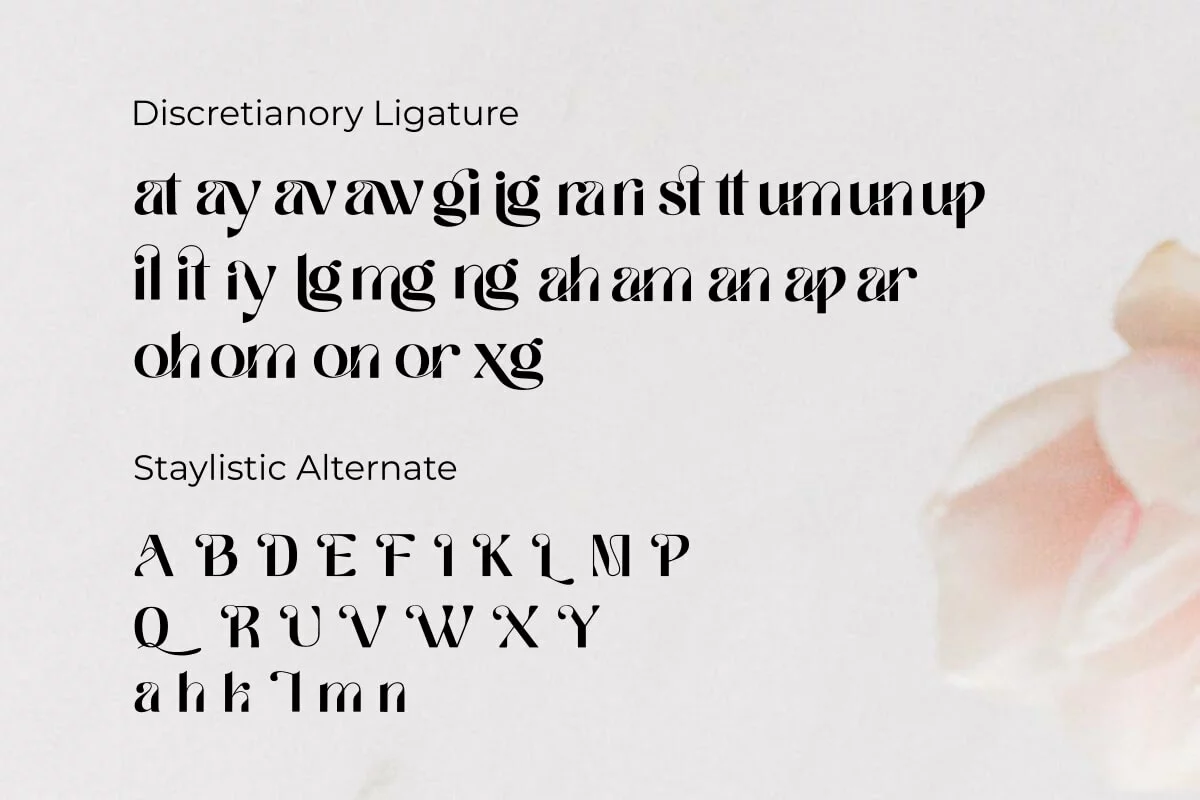 Ragitha Sans Serif Font Preview 6