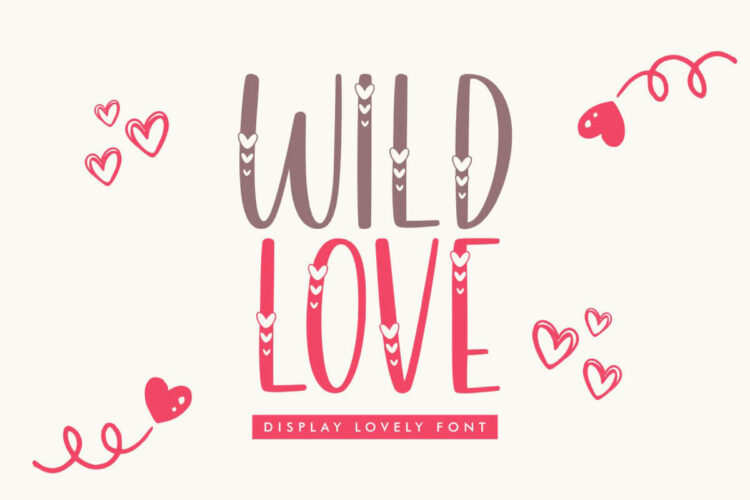 Wild Love Display Font Feature Image