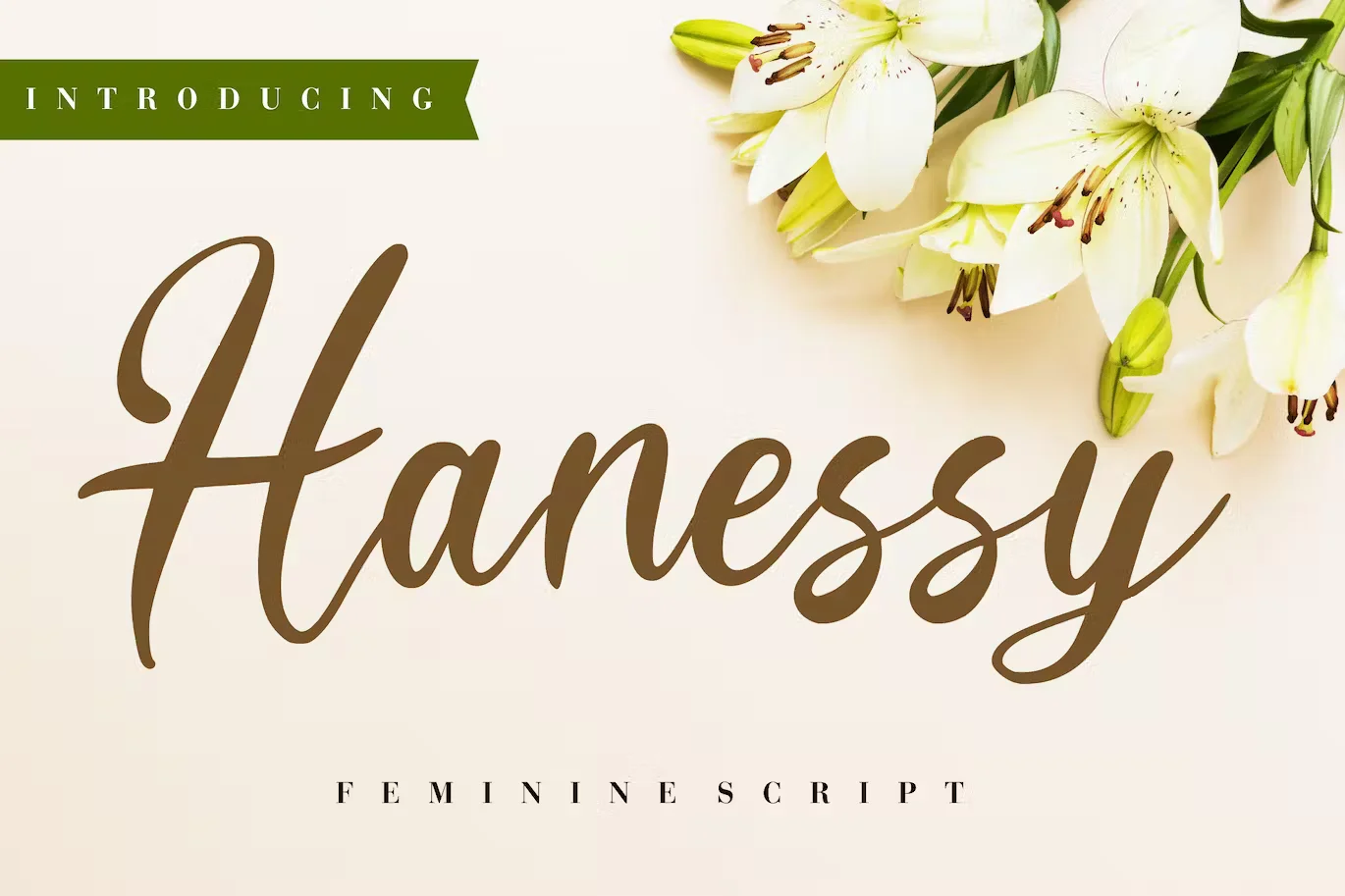 Hanessy Business Font