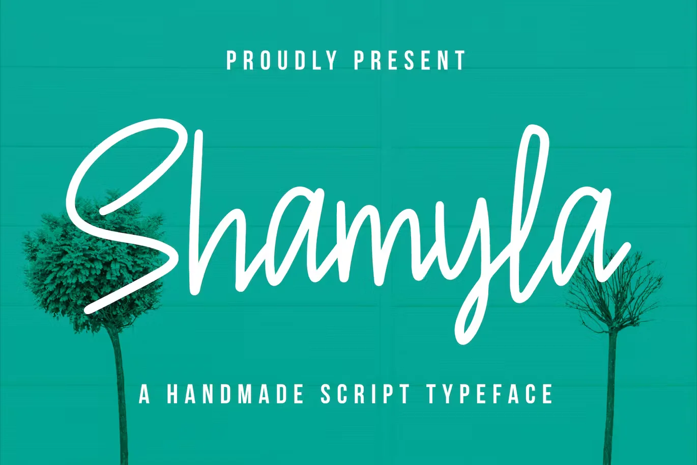 Shamyla - A Handmade Script Typeface