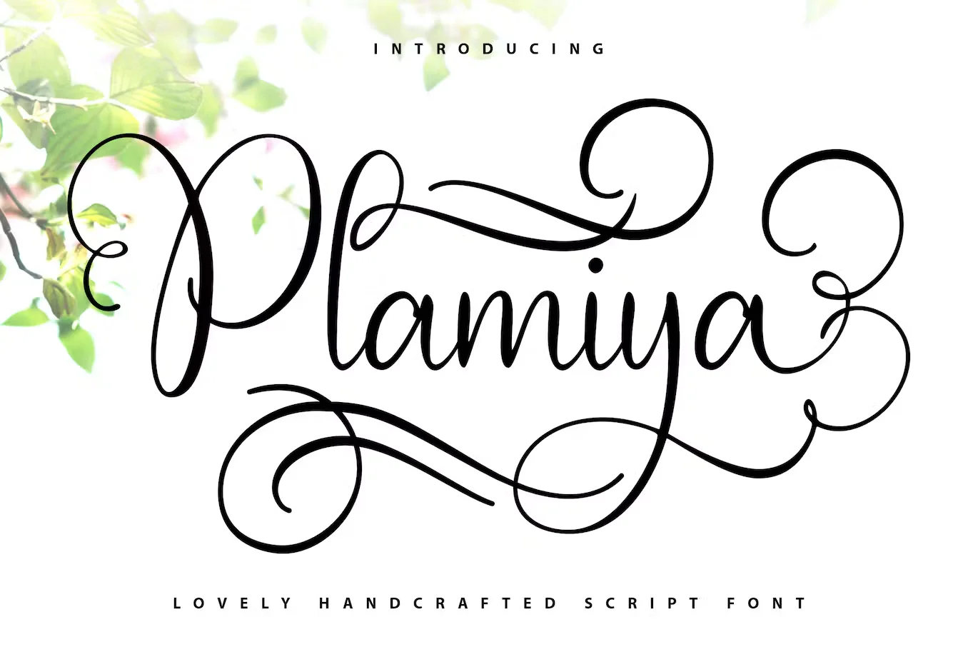 Plamiya | Handcrafted Script Font