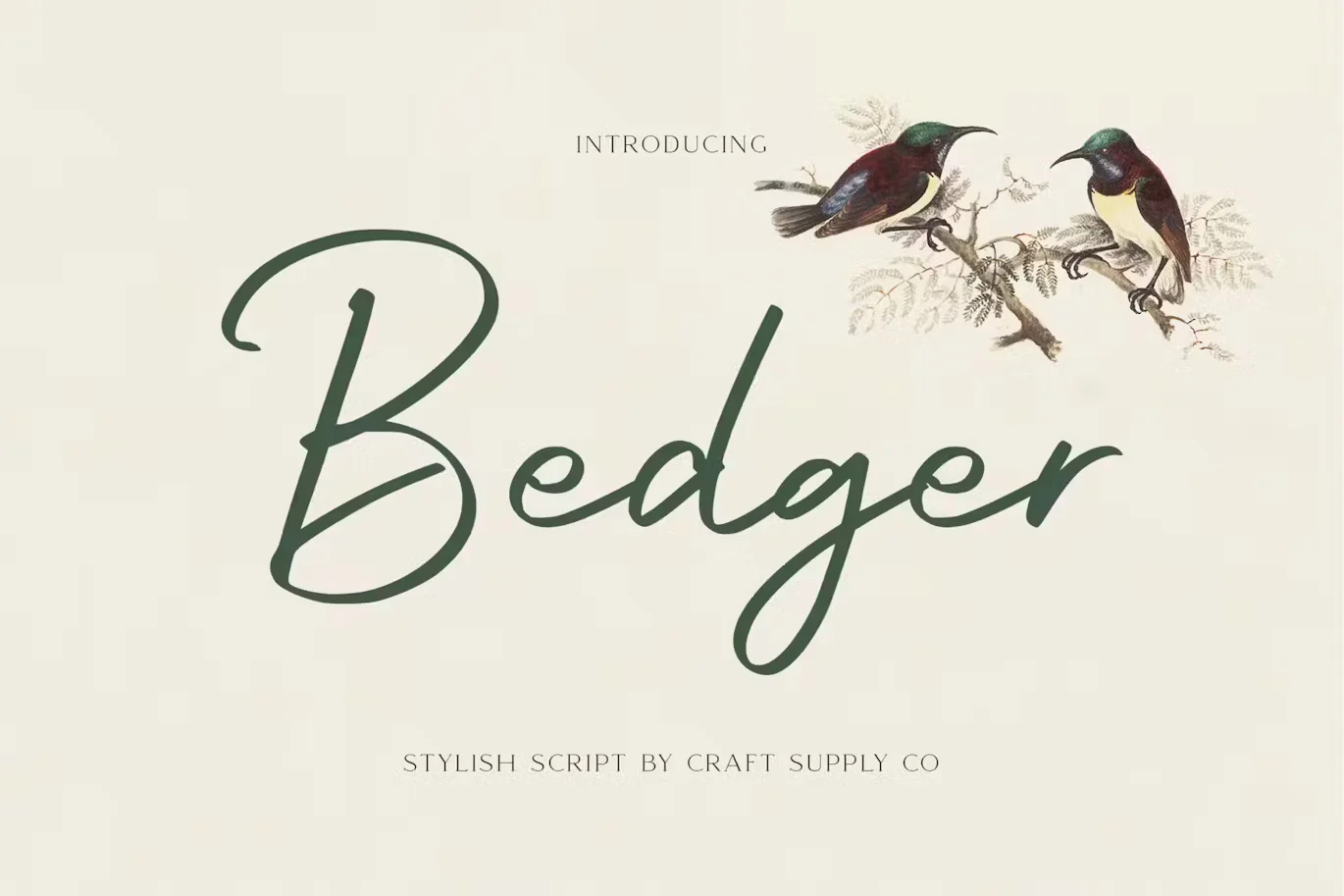 Bedger - Stylish Script Font