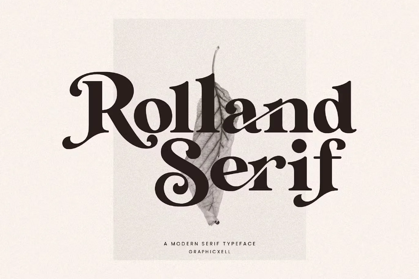 Rolland Ligature Serif Font Typeface