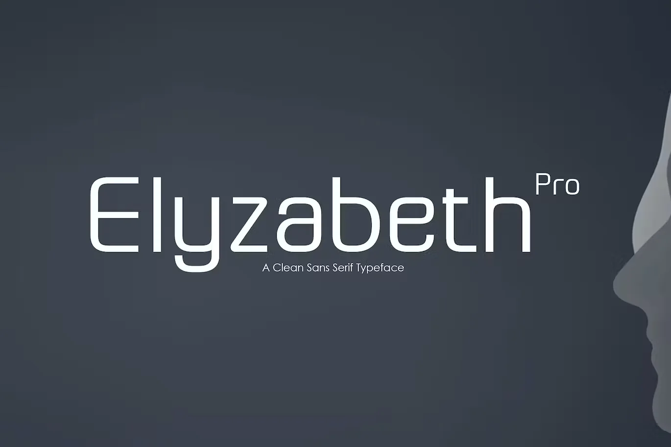 Elyzabeth Pro - Complete Family of 8 Fonts