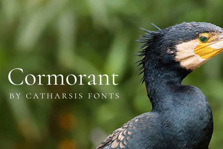 Cormorant Garamond Font Feature Image