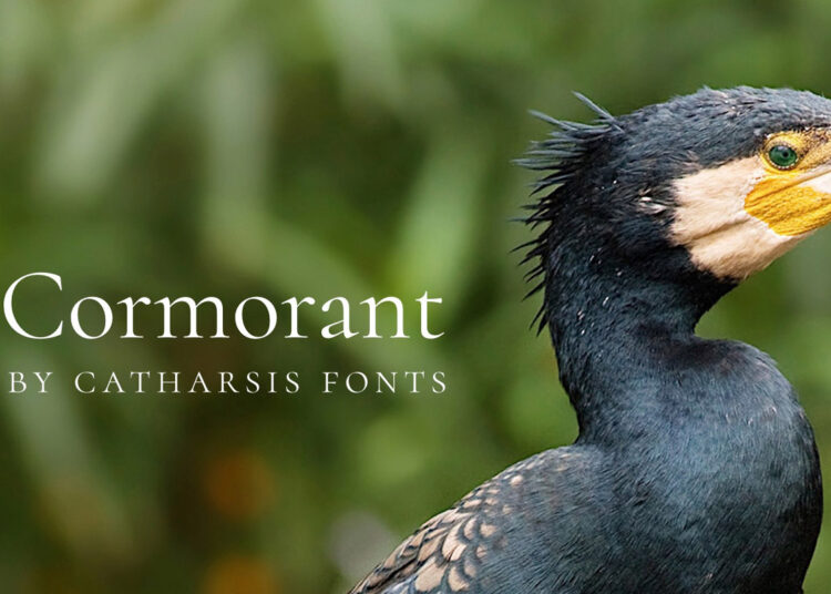 Cormorant Garamond Font Feature Image
