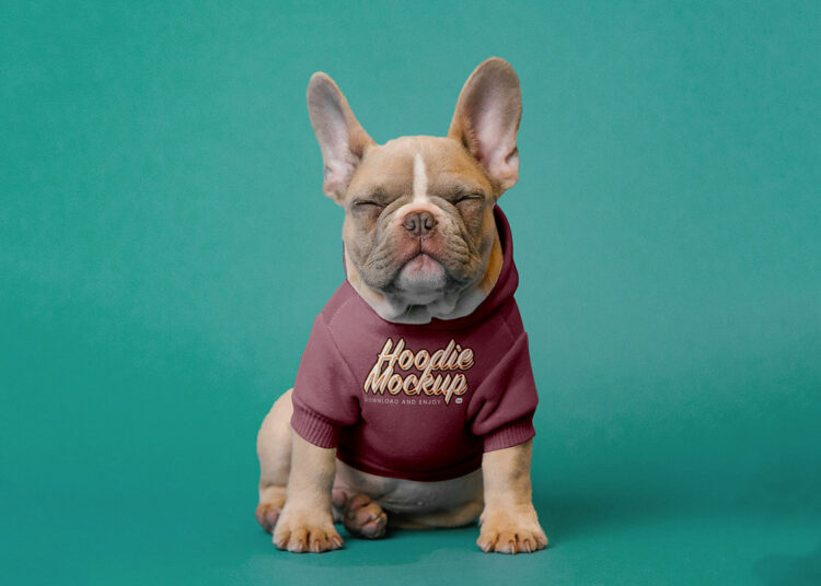 Dog Hoodie Mockup Feature Image