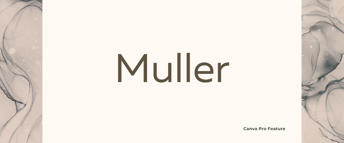Illustration of Muller Sans Serif Font