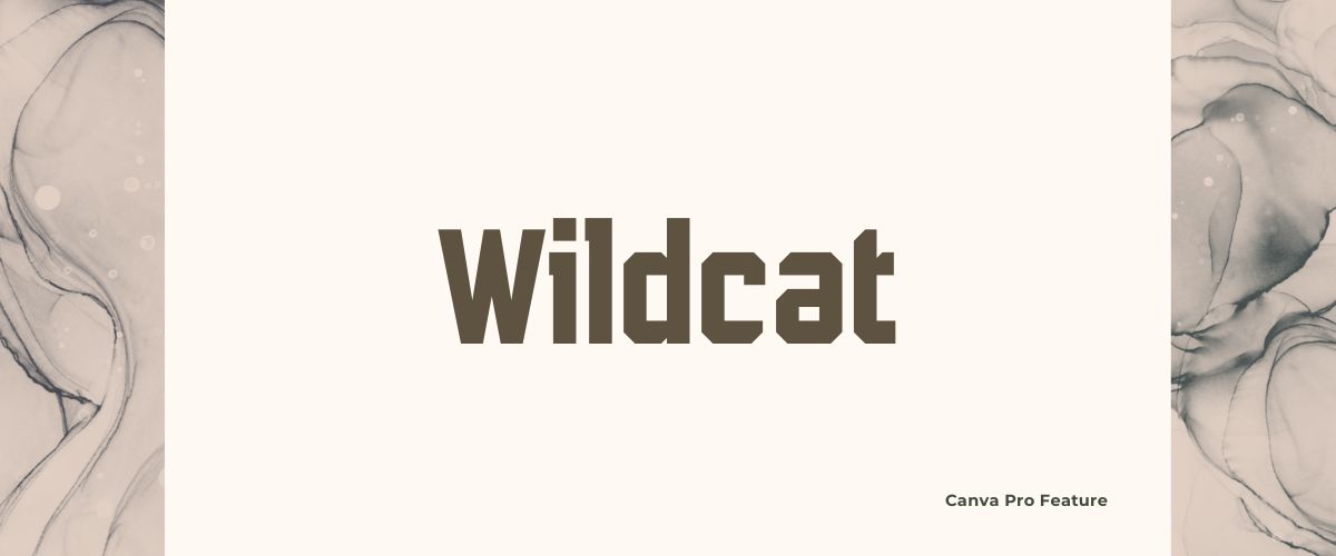 Illustration of  Wildcat Sans Serif Font