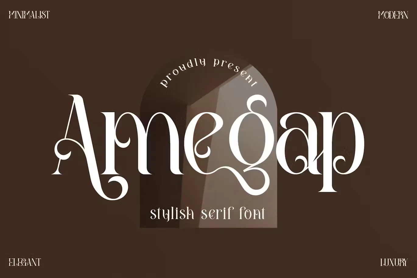 Amegap Stylish Serif Font