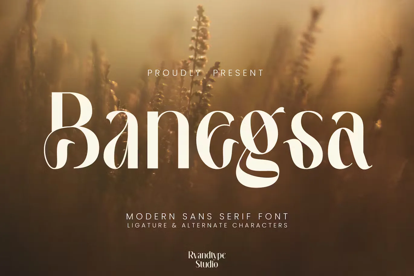 Banegsa Luxury Font