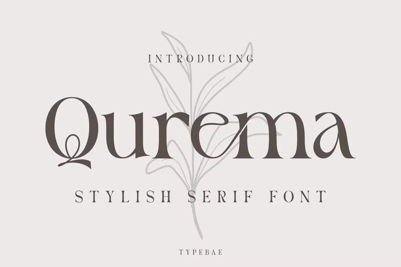 Qurema - Stylish Serif Font