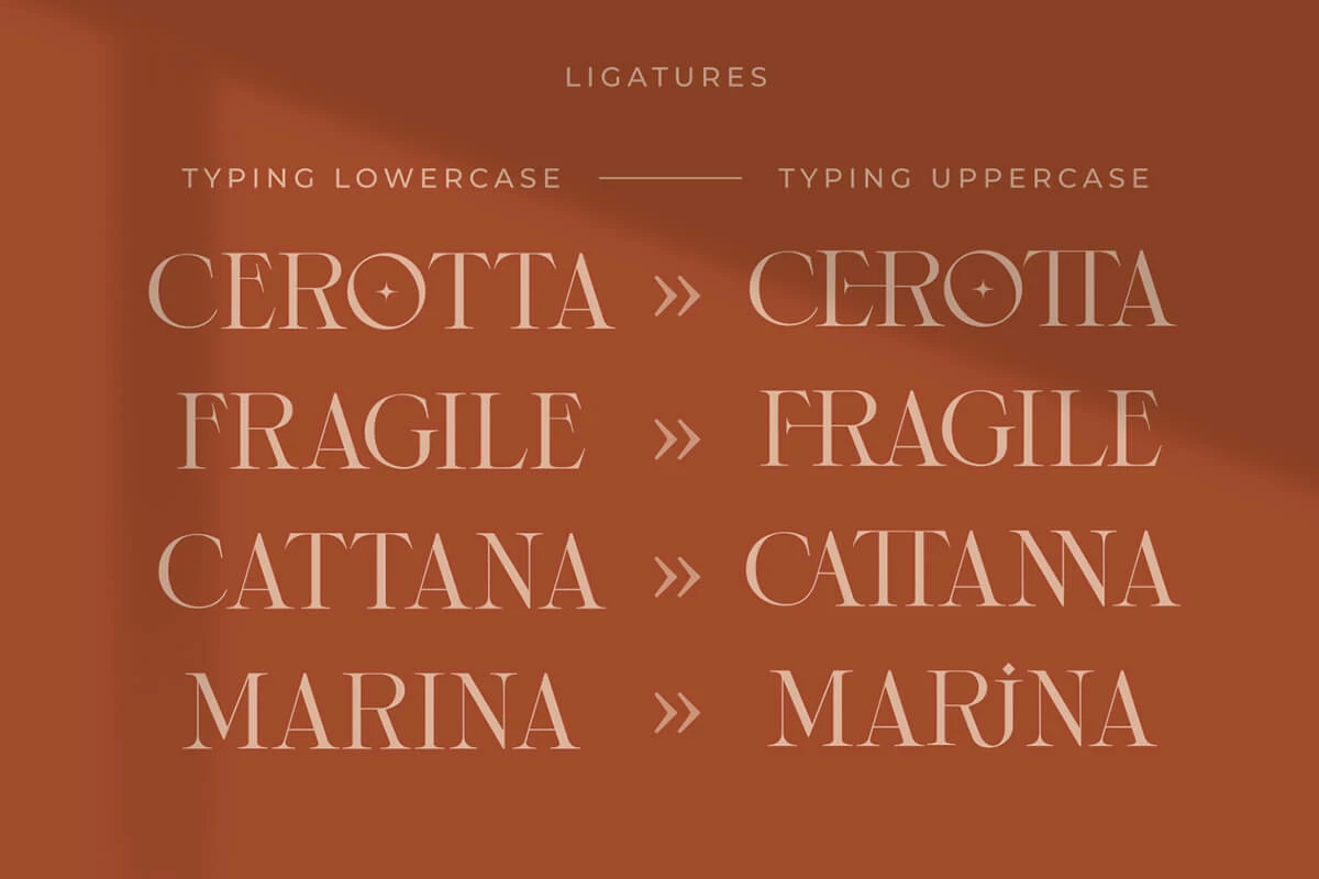 Cerotta Serif Font Preview 5