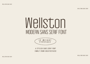 A neutral tan background featuring "Wellston MODERN SANS SERIF FONT" in large letters with "12 WEIGHT TYPEFACE" below, showcasing the font's range, all in Wellston font.