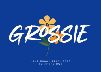 Grossie Hand Drawn Brush Font
