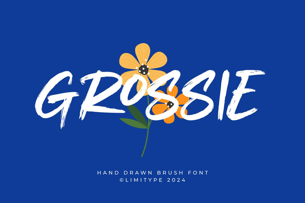 Grossie Hand Drawn Brush Font
