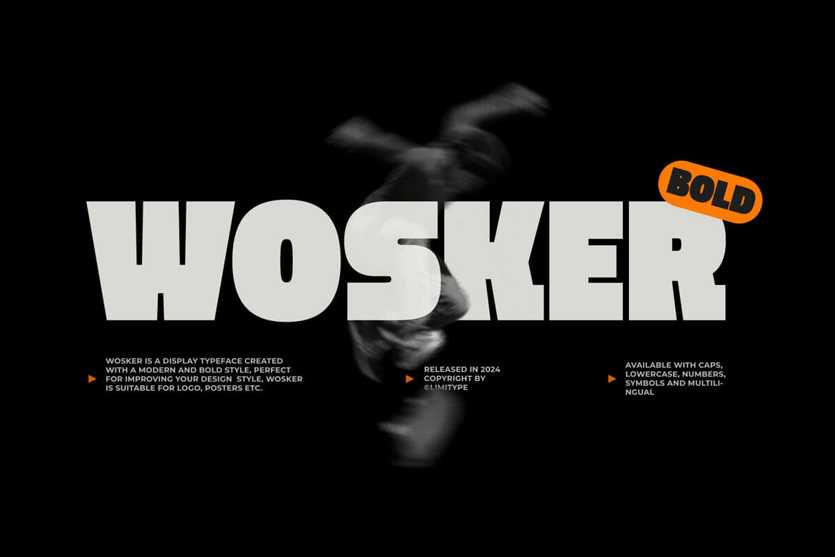 Wosker Bold Display Font