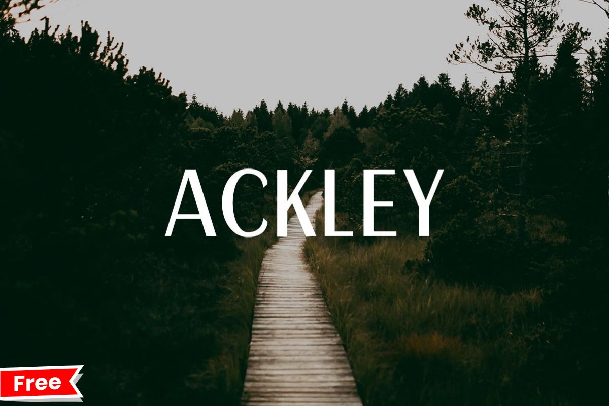 Ackley Sans Serif Font