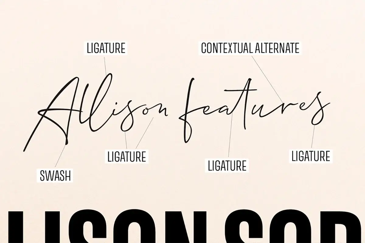 Allison Script Font Preview 4
