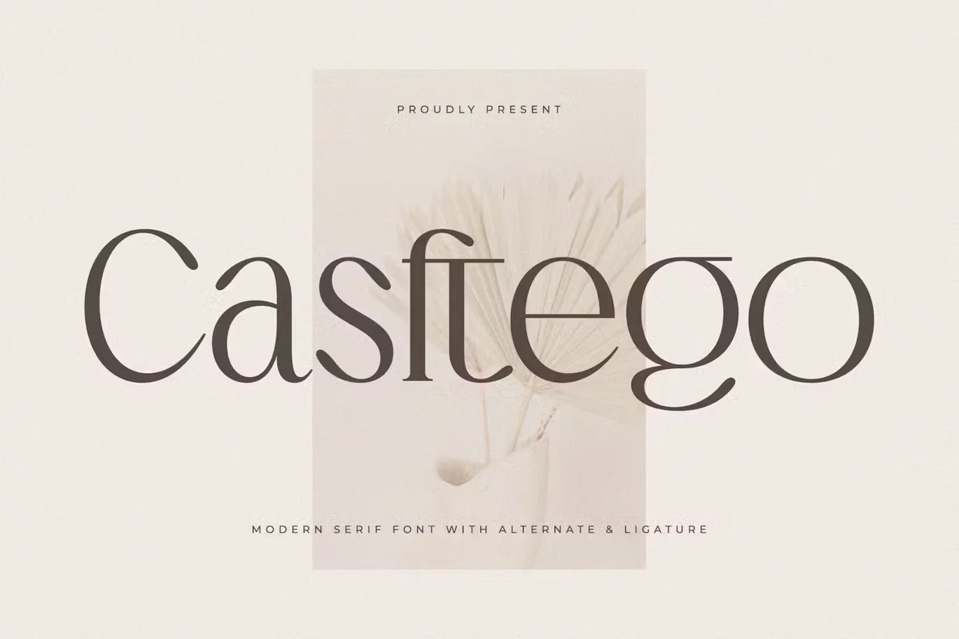 Casftego Modern Serif Font