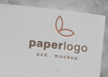 Paper Logo Mockup Feature Image