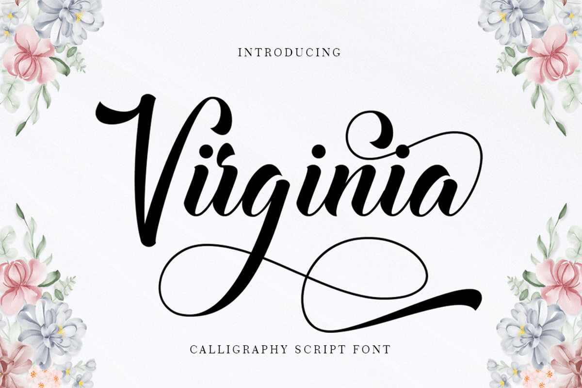 Virginia Calligraphy Font Feature Image