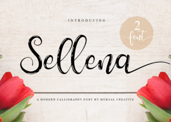 Sellena Brush Font Feature Image